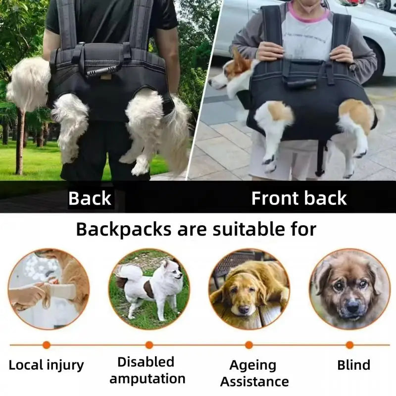 Sac pour porter un chien 