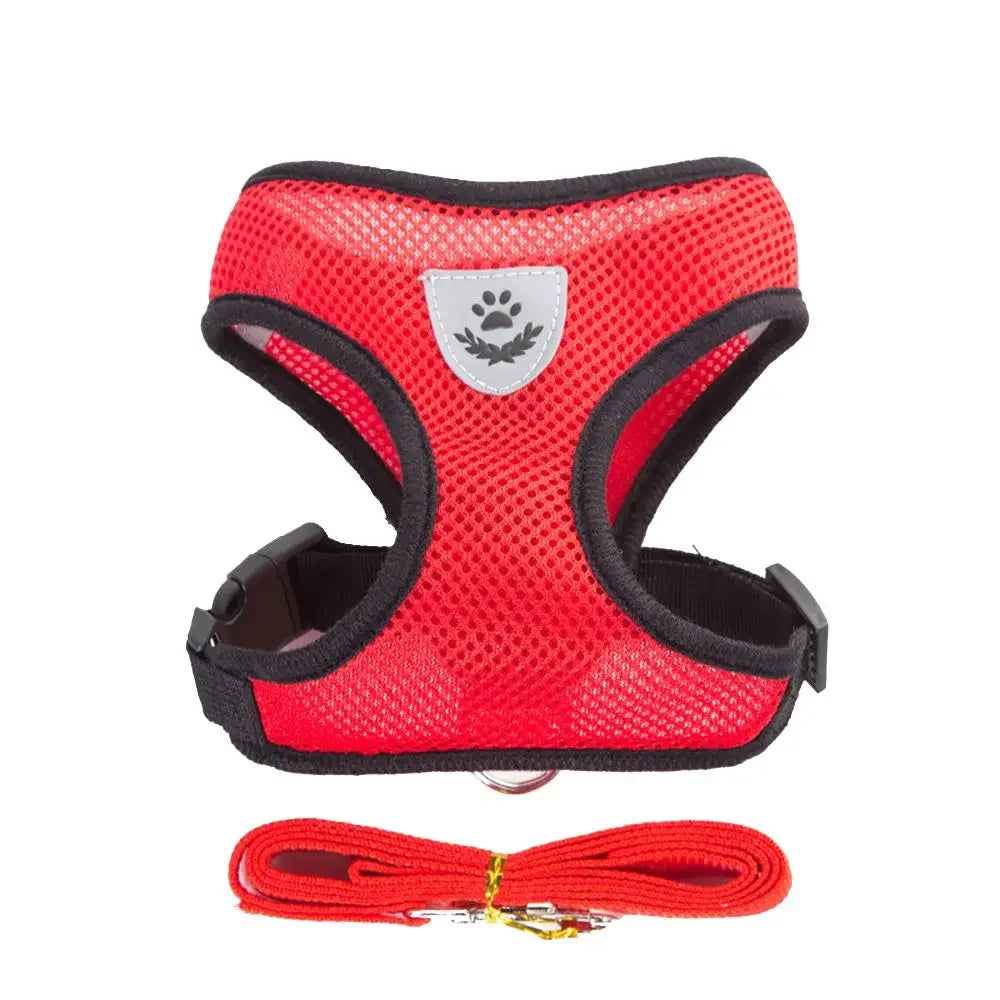 Harnais Confortable pour Chiens de Petite Taille - Nos Poilus