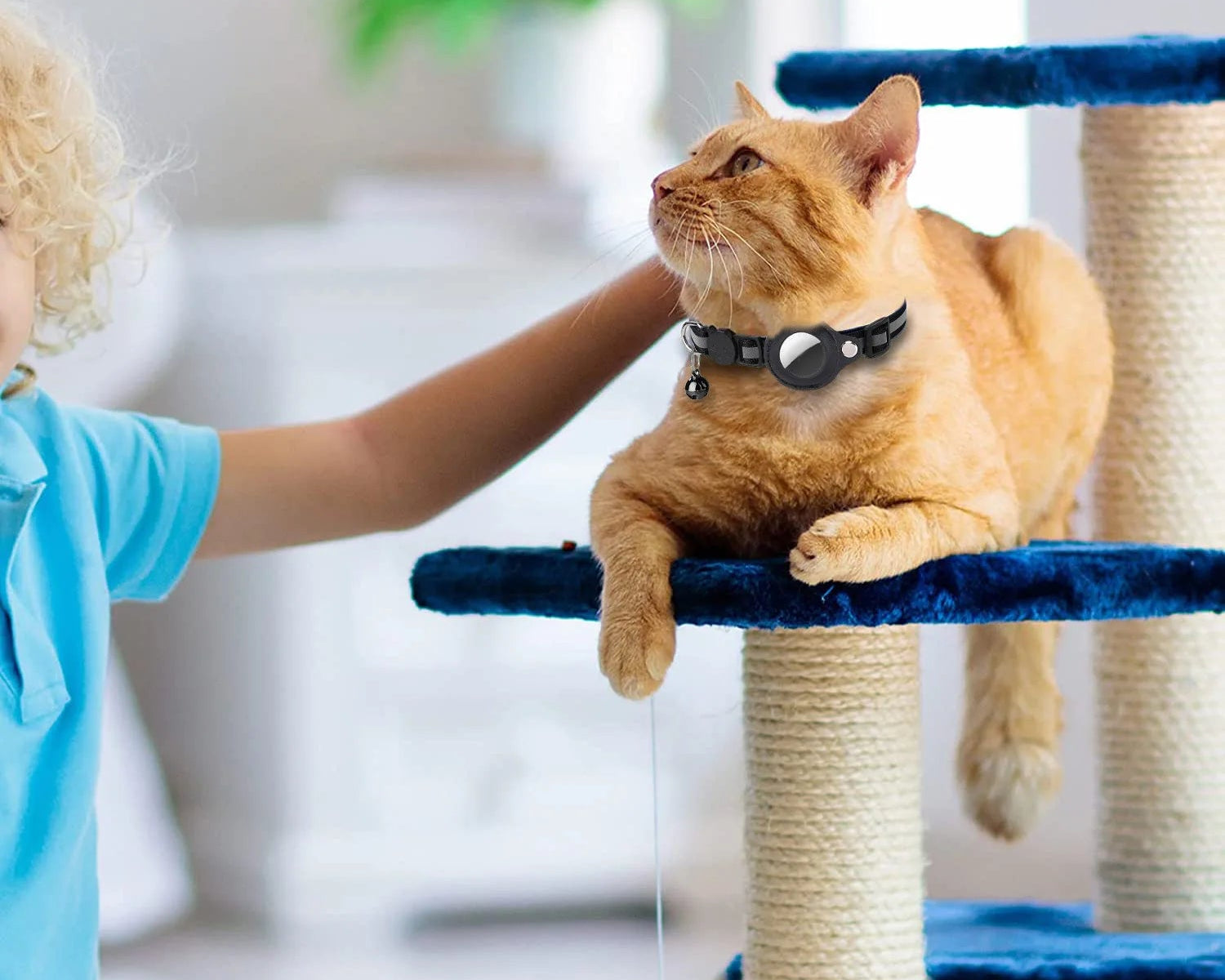 collier pour chat compatible AirTag avec bandes réfléchissantes – Nos Poilus