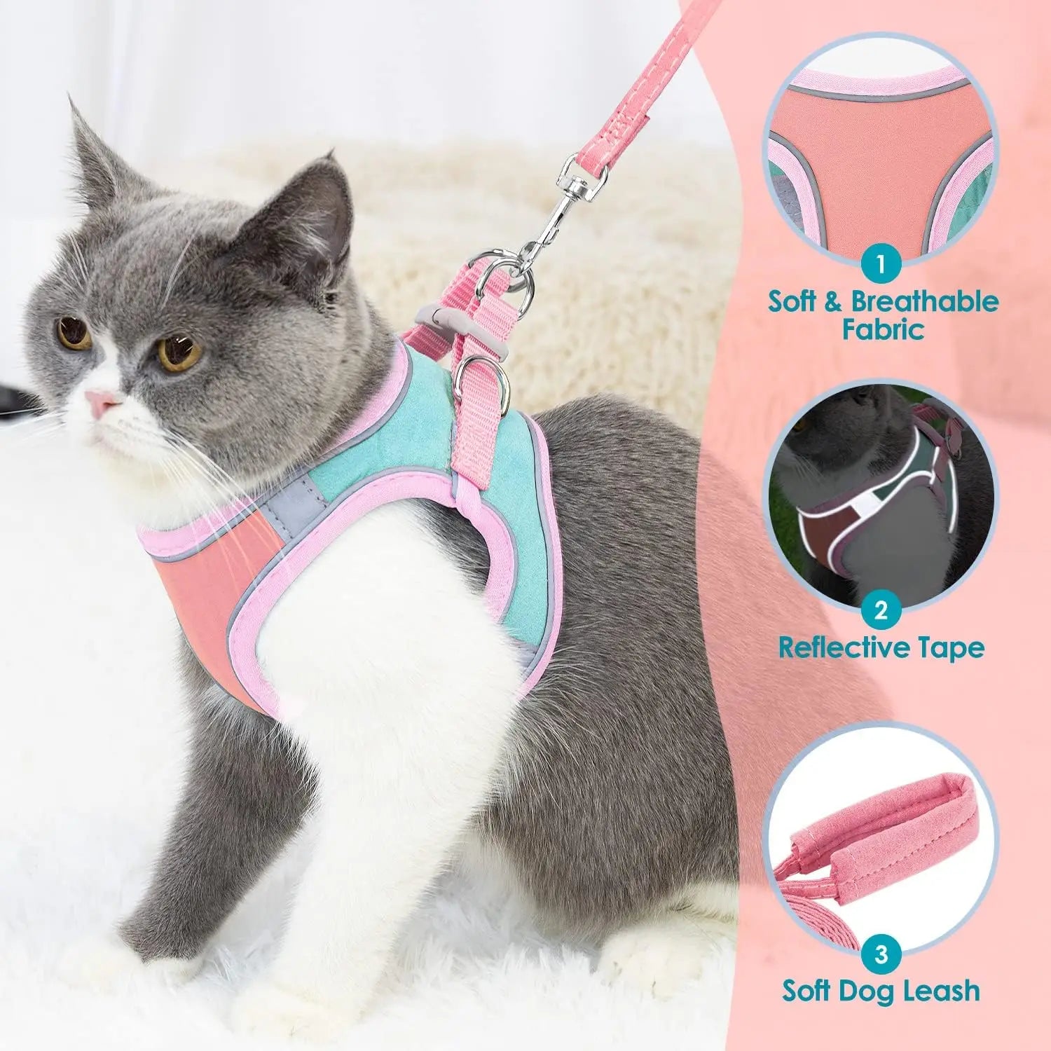 harnais gilet réfléchissant pour petit chat avec laisse assortie – Nos Poilus