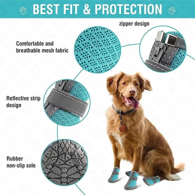 Chaussures Respirantes pour Chiens – Protection Anti-Glisse - Nos Poilus