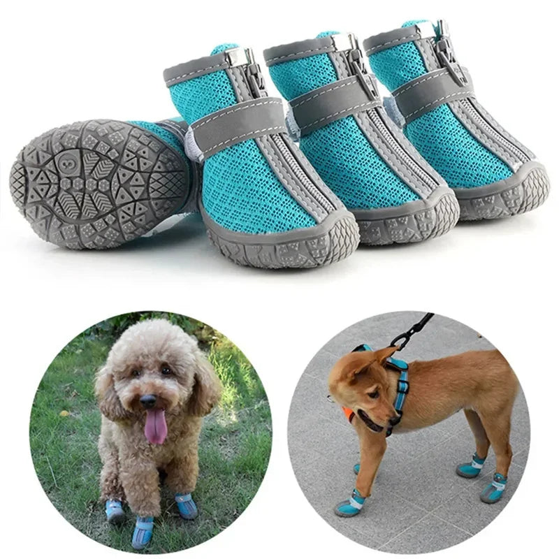 Chaussures Respirantes pour Chiens – Protection Anti-Glisse - Nos Poilus