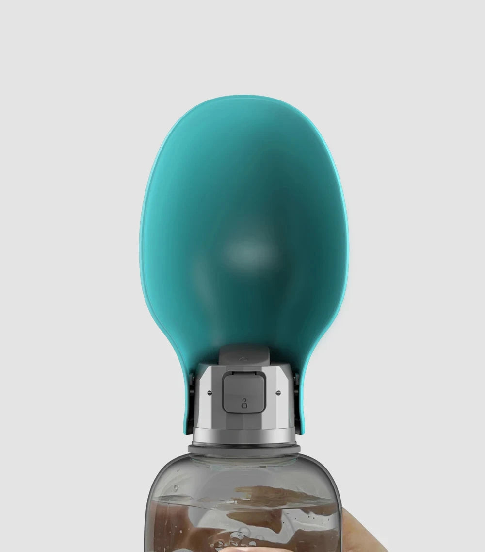 gourde d’Eau Portable 800ml – Chiens et Chats - Nos Poilus