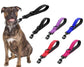 Laisse courte grand chien 30/45/60cm