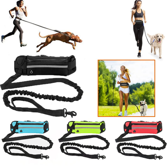 Laisse mains libres pour chien pour courir en toute liberté avec sac de taille