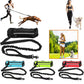 Laisse mains libres pour chien pour courir en toute liberté avec sac de taille