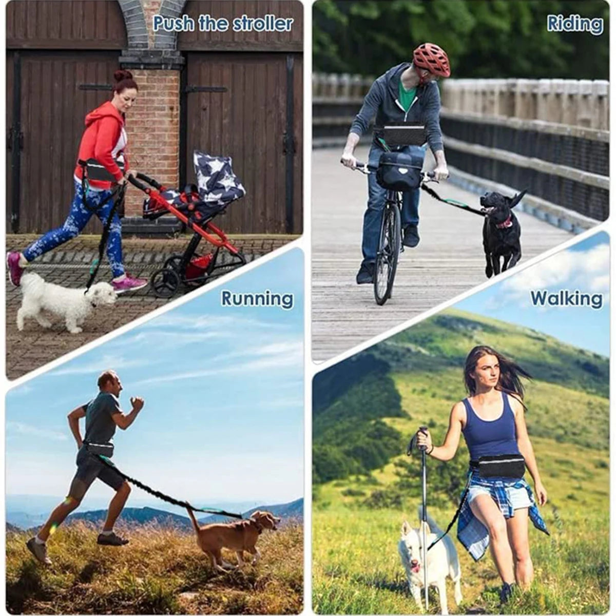 Laisse mains libres pour chien pour courir en toute liberté avec sac de taille