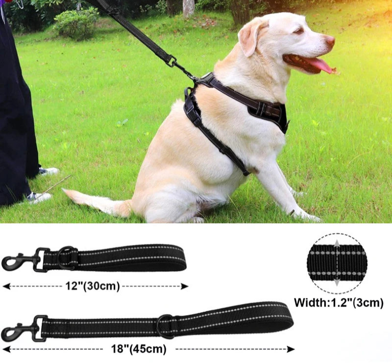 Laisse courte grand chien 30/45/60cm