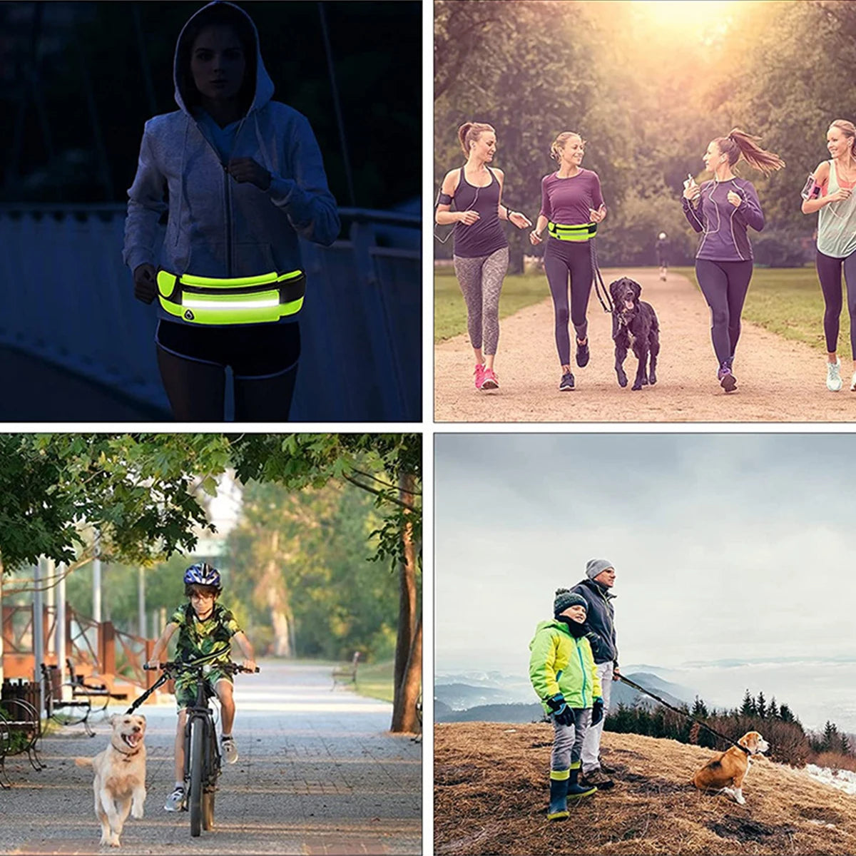 Laisse mains libres pour chien pour courir en toute liberté avec sac de taille