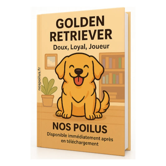 Le chien golden retriever decouvez ce chien dans la collection nos poilus 