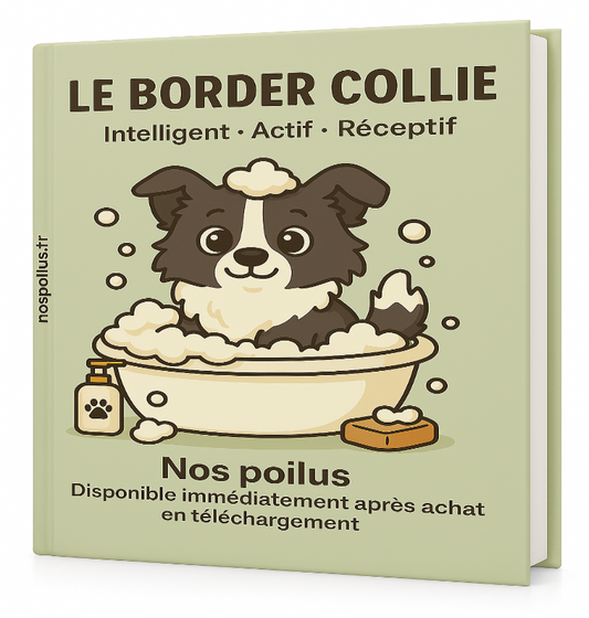 le border collie un guide complet a decouvrir dans la collection nos poilus 