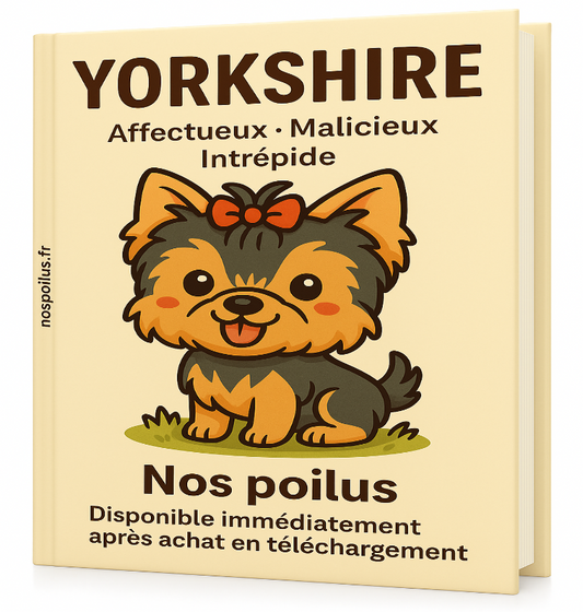 le chien yokkshire au travers d'un guide complet de la collection nos poilus