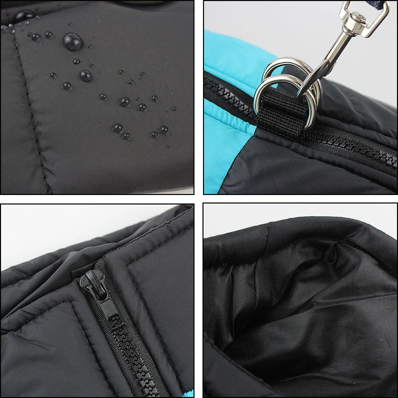 Manteau d’Hiver pour Chiens – Imperméable et Isolant - Nos Poilus