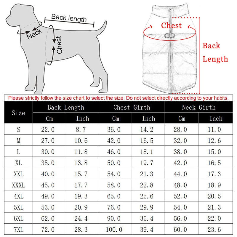Manteau d’Hiver pour Chiens – Imperméable et Isolant - Nos Poilus