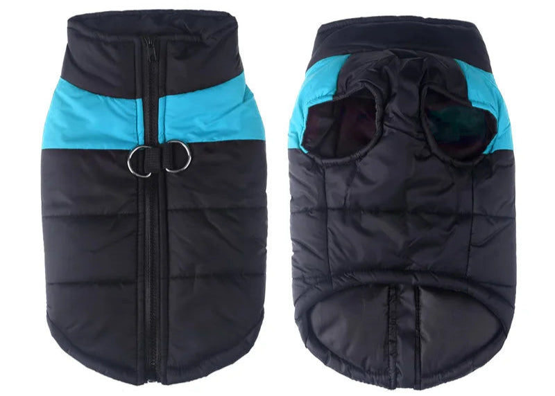 Manteau d’Hiver pour Chiens – Imperméable et Isolant - Nos Poilus