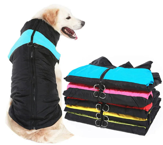 Manteau d’Hiver pour Chiens – Imperméable et Isolant - Nos Poilus