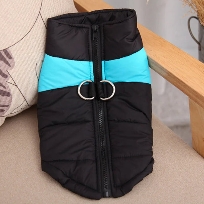 Manteau d’Hiver pour Chiens – Imperméable et Isolant - Nos Poilus