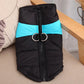 Manteau d’Hiver pour Chiens – Imperméable et Isolant - Nos Poilus