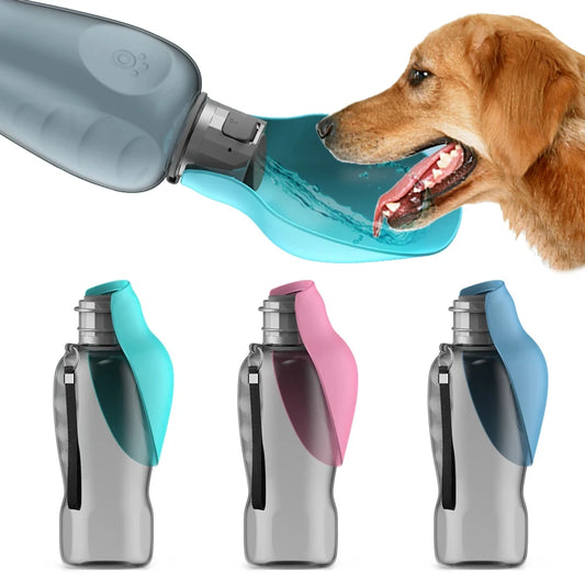 Bouteille d’Eau Portable 800ml – Chiens et Chats - Nos Poilus