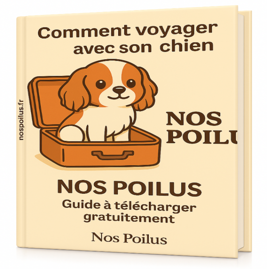 comment voyager avec son chien
